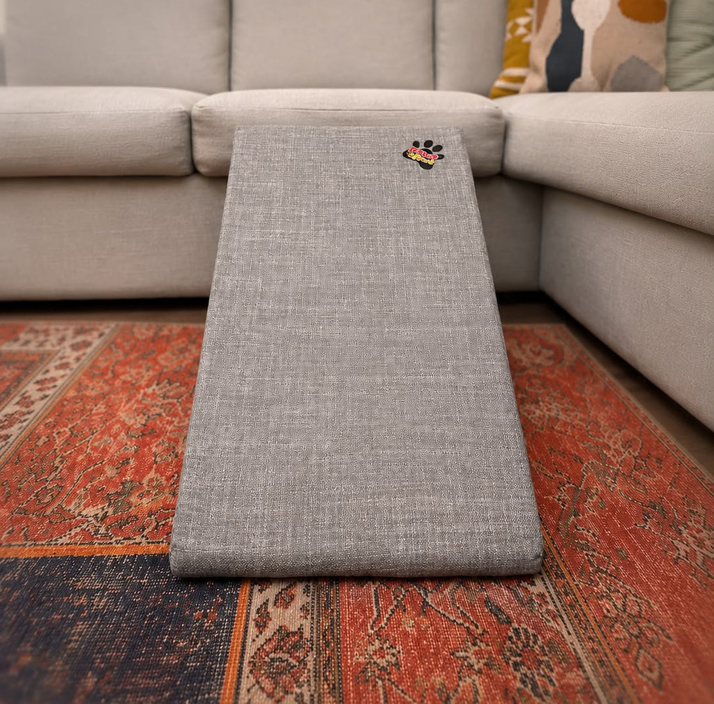 Sponge Slide