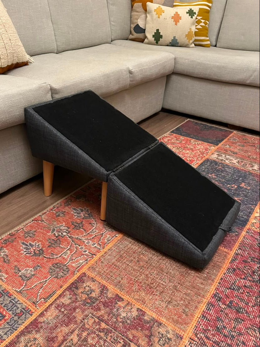 Ottopaw Ramp