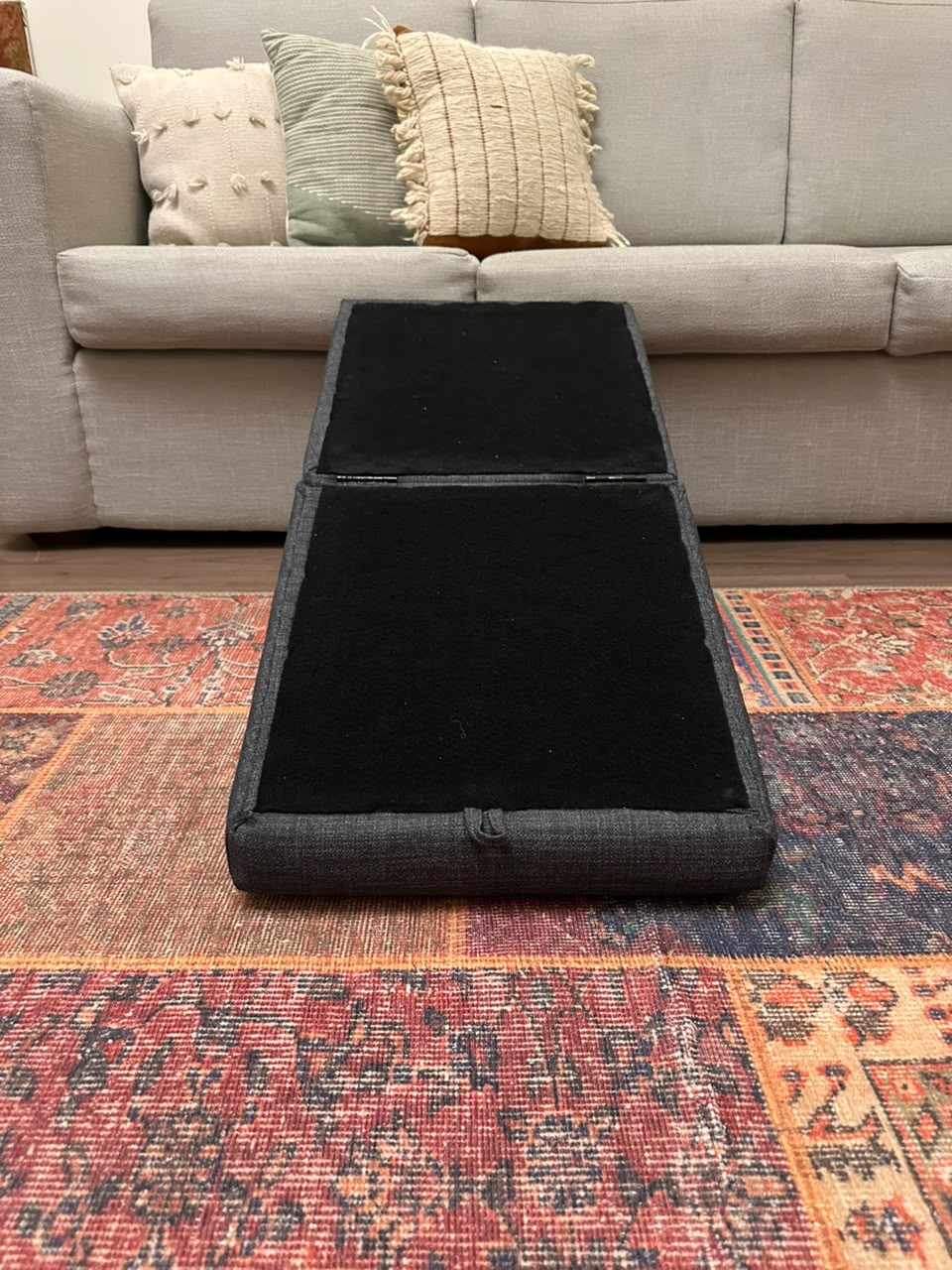 Ottopaw Ramp